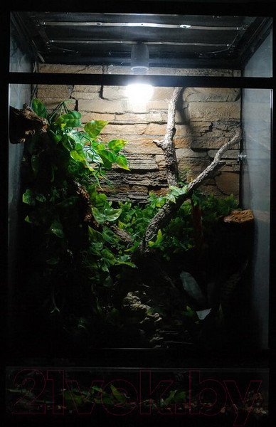 Изображение товара Лампа для террариума Lucky Reptile LED Sun Globe 7Вт / LS-G7