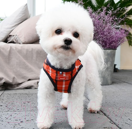 Изображение товара Шлея-жилетка для животных Puppia Baxter / PLSA-HB1602-OR-XL (красный)