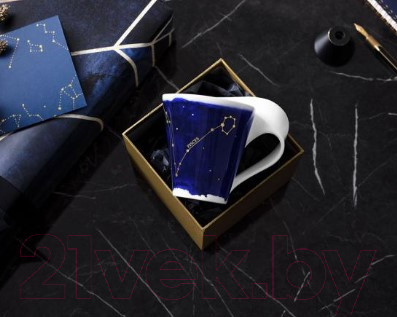 Изображение товара Кружка Villeroy & Boch NewWave Stars Рыбы / 10-1616-5812