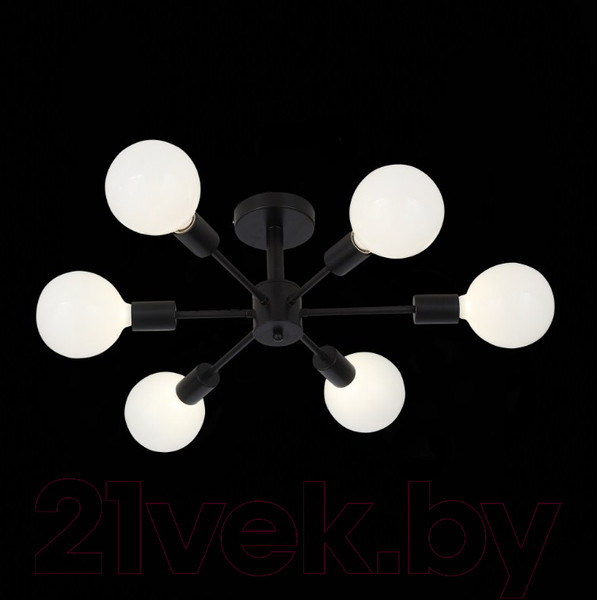 Изображение товара Люстра ST Luce Ano SL419.402.06