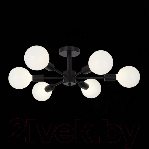 Изображение товара Люстра ST Luce Ano SL419.402.06