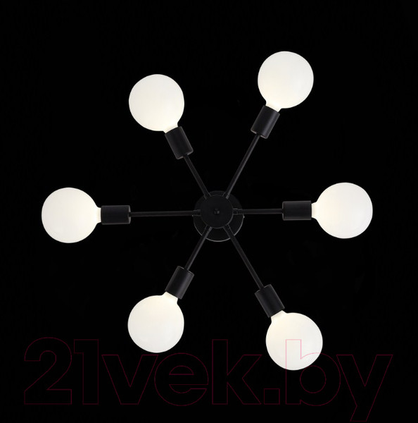 Изображение товара Люстра ST Luce Ano SL419.402.06