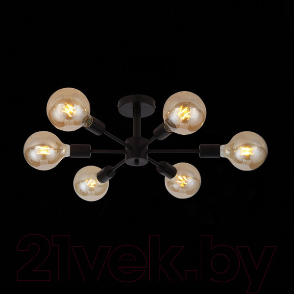 Изображение товара Люстра ST Luce Ano SL419.402.06