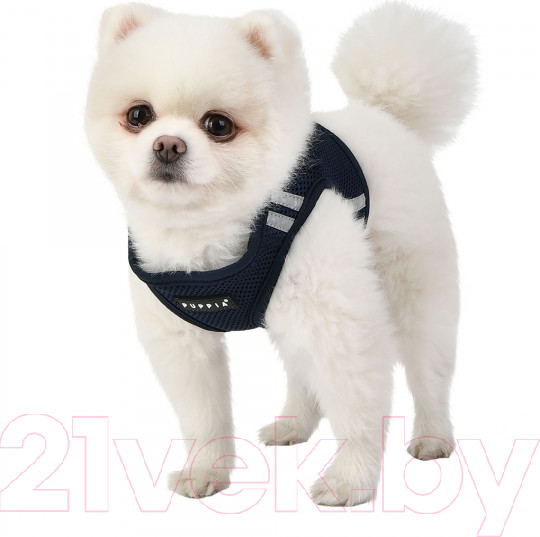 Изображение товара Шлея-жилетка для животных Puppia Soft / PAUA-HB1828-BK-S (черный/светоотражающий)