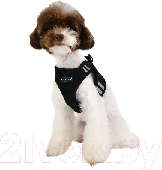 Изображение товара Шлея-жилетка для животных Puppia Soft / PAUA-HB1828-BK-L (черный/светоотражающий)