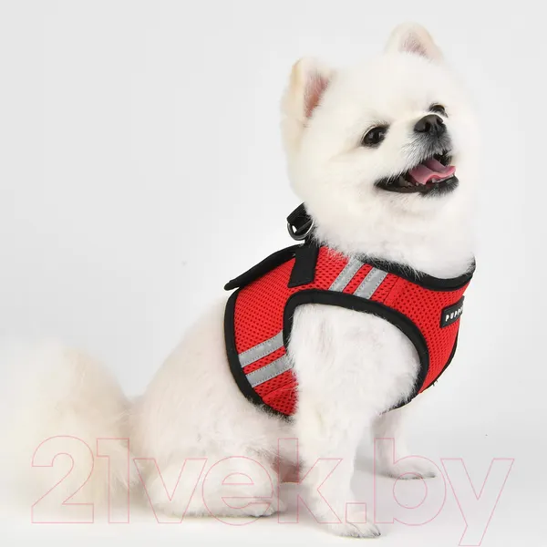 Изображение товара Шлея-жилетка для животных Puppia Soft / PAUA-HB1828-RD-XL (красный/светоотражающий)