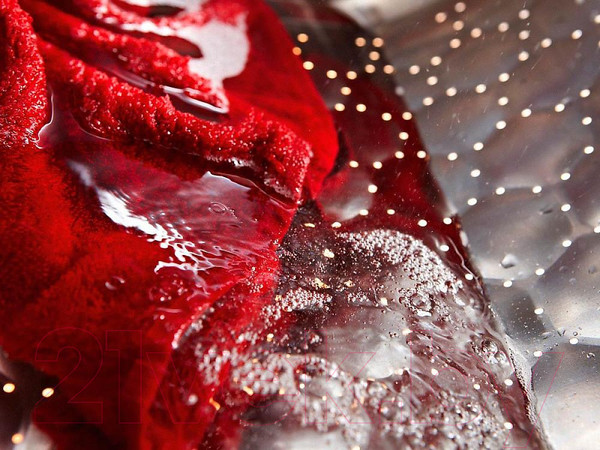 Изображение товара Стиральная машина Miele WWD 120 WCS / 11WD1201RU