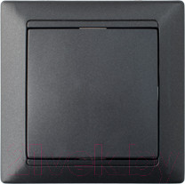 Изображение товара Выключатель Bylectrica Стиль С6 10-807 (графит)