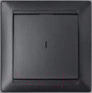 Изображение товара Выключатель Bylectrica Стиль С1 10-813 (графит)