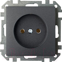 Изображение товара Розетка Bylectrica Стиль РС16-524 (графит)