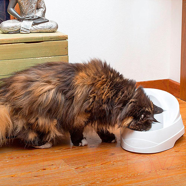 Изображение товара Поилка автоматическая для животных Ferplast Vega Sanitized / 71300011