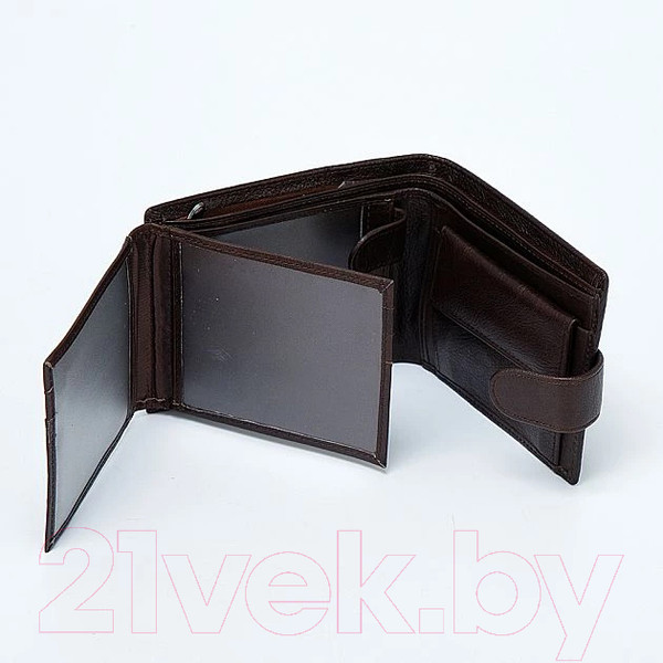 Изображение товара Портмоне Sanwei 827-2006-A-BRW