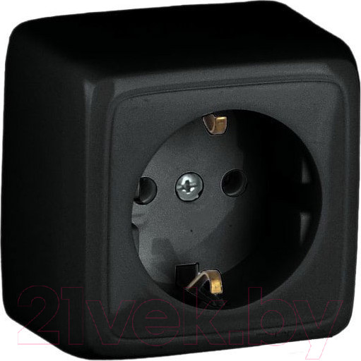 Изображение товара Розетка Bylectrica Пралеска РА16-254 (черный)