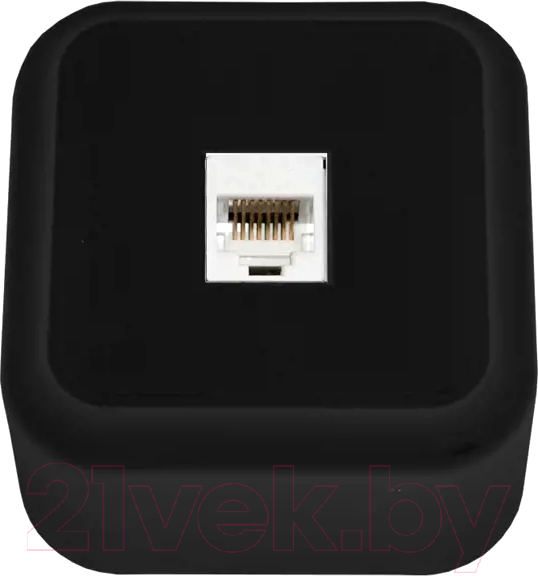 Изображение товара Розетка Bylectrica Пралеска РК18-004 (черный)