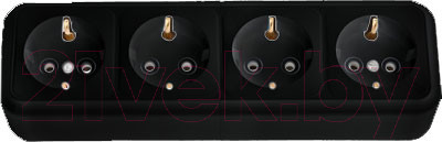 Изображение товара Розетка Bylectrica Пралеска РА16-266 (черный)