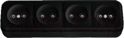 Изображение товара Розетка Bylectrica Пралеска РА16-264 (черный)