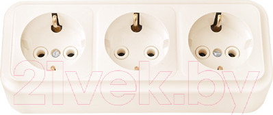Изображение товара Розетка Bylectrica Пралеска РА16-265 (бежевый)