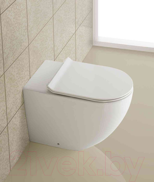 Изображение товара Унитаз приставной BelBagno BB2141CBR