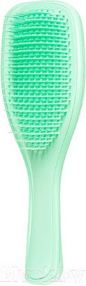 Изображение товара Расческа-массажер Tangle Teezer The Wet Detangler Mint Karma