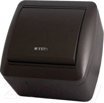Изображение товара Выключатель TDM Селигер SQ1818-0203 (шоколад)