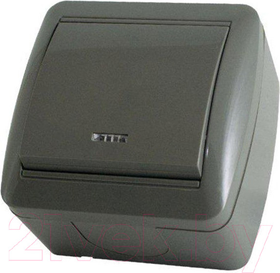 Изображение товара Выключатель TDM Селигер SQ1818-0103 (серый)