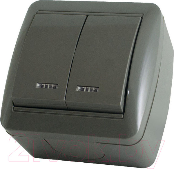 Изображение товара Выключатель TDM Селигер SQ1818-0104 (серый)