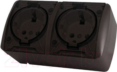 Изображение товара Розетка TDM Селигер SQ1818-0209 (шоколад)