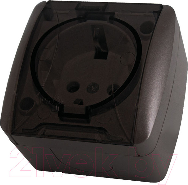Изображение товара Розетка TDM Селигер SQ1818-0207 (шоколад)