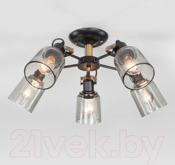 Изображение товара Люстра Евросвет Astor 70111/5 (черный)