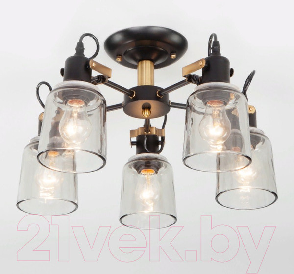 Изображение товара Люстра Евросвет Astor 70111/5 (черный)