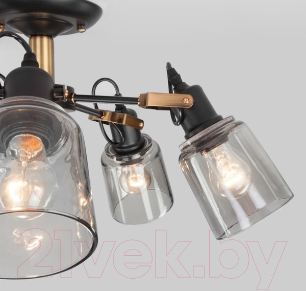 Изображение товара Люстра Евросвет Astor 70111/5 (черный)