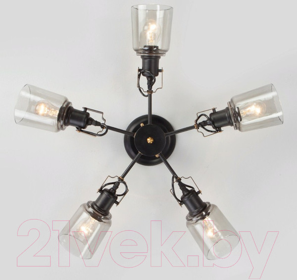 Изображение товара Люстра Евросвет Astor 70111/5 (черный)