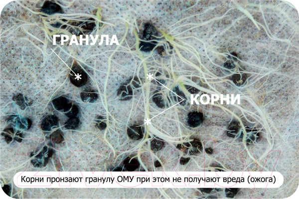 Изображение товара Удобрение Нов-Агро ОМУ Для клубники и земляники (0.9кг)