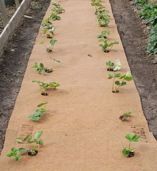 Изображение товара Укрывной материал No Brand Мульчаграм Мульчирующий (0.75x3м)