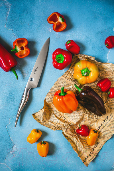 Изображение товара Нож Samura Reptile SRP-0023