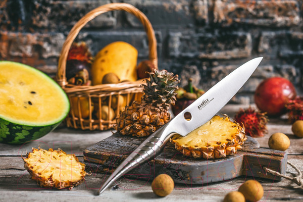 Изображение товара Нож Samura Reptile SRP-0023