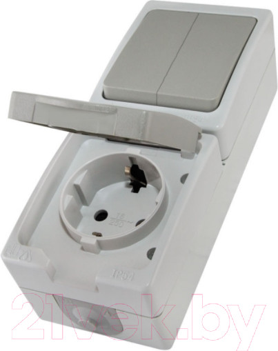 Изображение товара Блок выключатель+розетка TDM Вуокса SQ1803-0013