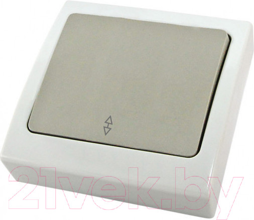 Изображение товара Выключатель TDM Вуокса SQ1803-0103