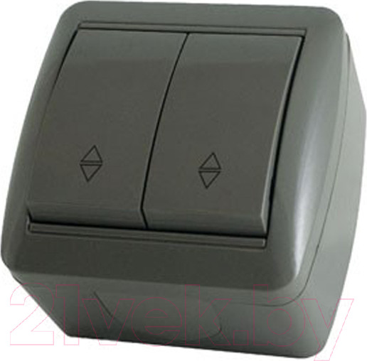 Изображение товара Выключатель TDM Селигер SQ1818-0112 (серый)
