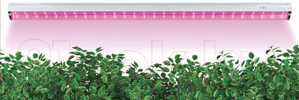 Изображение товара Светильник для растений Feron Светодиодный 14W IP40 AL7000 / 28927