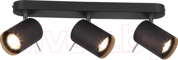 Изображение товара Спот ST Luce Fanale SL597.401.03