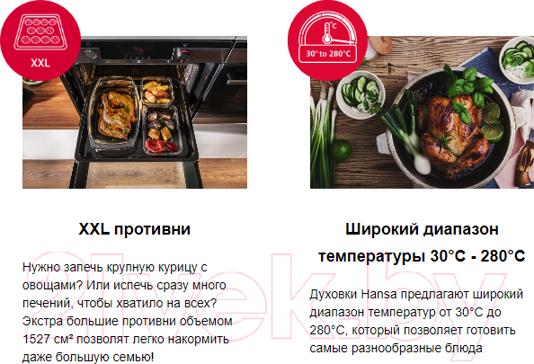 Изображение товара Электрический духовой шкаф Hansa BOEI683020