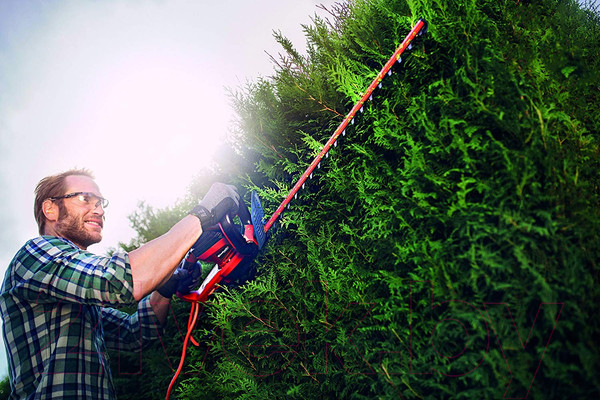 Изображение товара Кусторез электрический Einhell GC-EH 6055/1 (3403320)