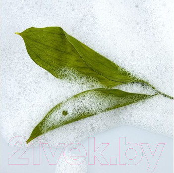 Изображение товара Пенка для умывания Aravia Laboratories Anti-Acne с коллоидной серой и экстрактом женьшеня (150мл)