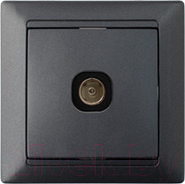 Изображение товара Розетка Bylectrica Стиль ТР-042 (графит)