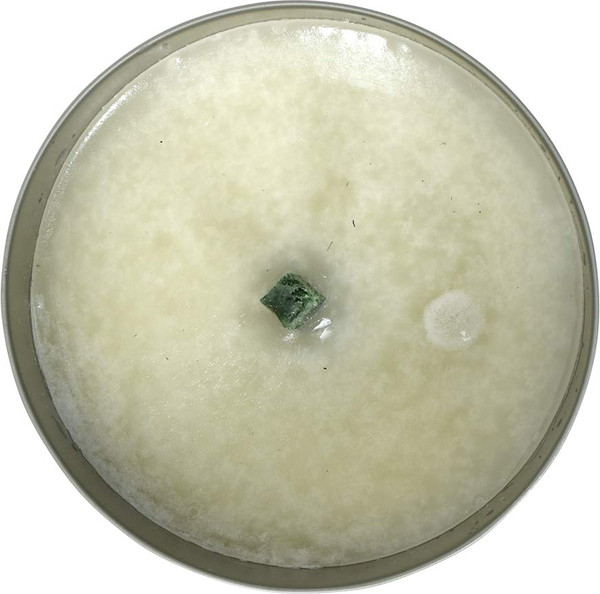 Изображение товара Свеча от насекомых Help 80011