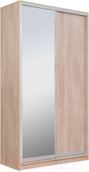 Изображение товара Шкаф-купе Рэйгрупп 120450 TTX Elgon РГ-12.02 (дуб торонто/хром)