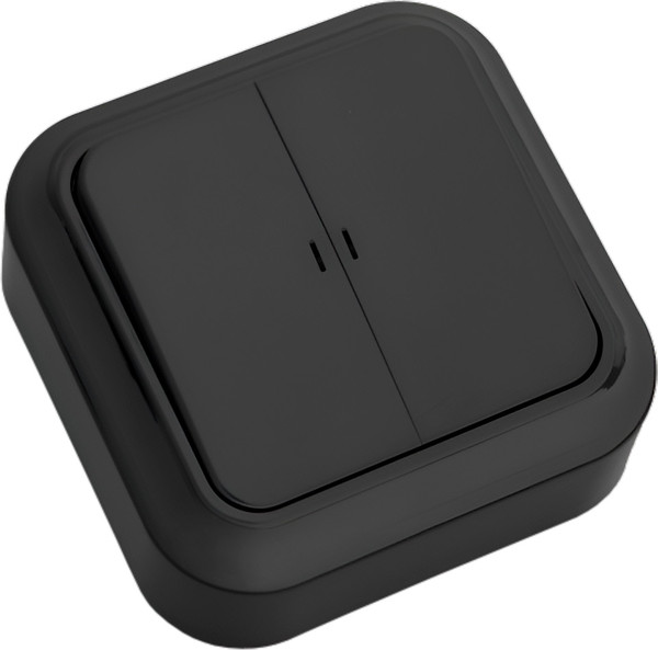 Изображение товара Выключатель Bylectrica Пралеска А5 10-215 (черный)