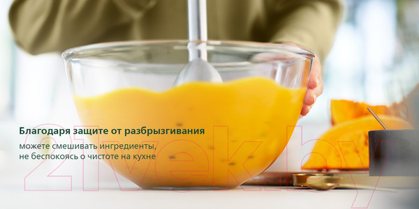 Изображение товара Блендер погружной Philips HR2534/00