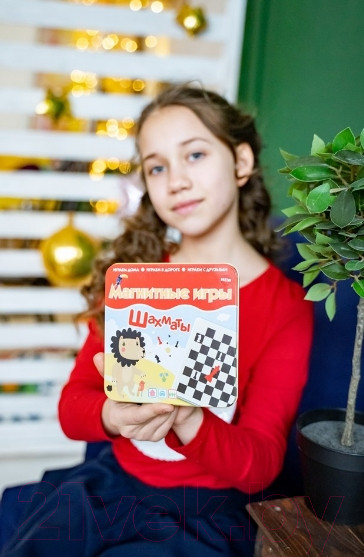 Изображение товара Шахматы Bumbaram Магнитная игра. Шахматы / IM-1008